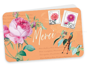 JARDIN DES MERVEILLES 3